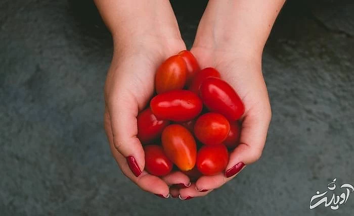 سرکه گوجه فرنگی